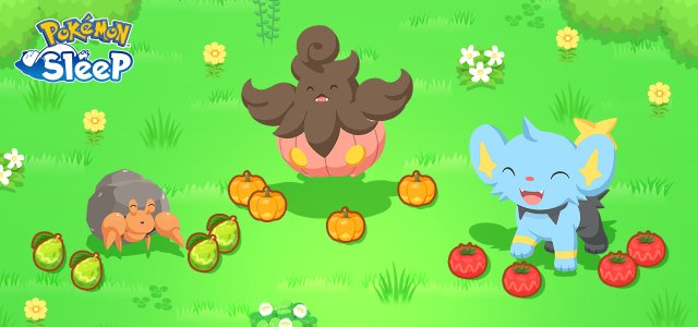 Pokémon Sleep: tutti i bonus della settimana ingredienti di novembre
